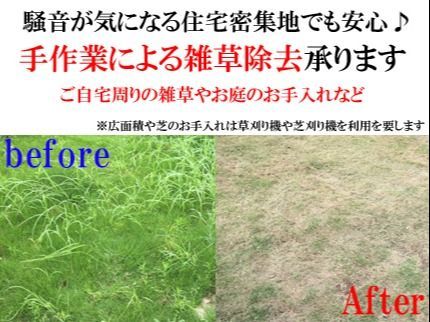 RT-JPNのTEL不要 「カード払い可」 草刈り作業(手作業)、落ち葉の掃除もお任せくださいの写真