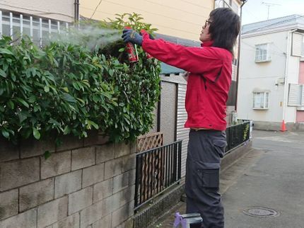 あなたのお悩み解決します! 便利屋ひつじ堂の★植え込みもスッキリさせませんか?★剪定作業の事ならお任せください♪の写真