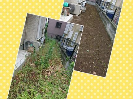 総合リサイクル ハットのさいたま市桜区から出張致します!丁寧な草むしり致します!お任せください!の写真