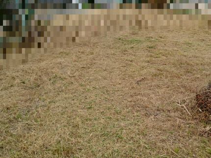 グリーン・ガーデンの【丁寧かつ迅速対応。】営業時間外や対応地域外もご相談可能◎創業20年以上の実績。の写真