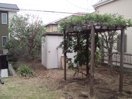 藤庭の【業歴20年】草、芝刈りのご依頼多数頂いております。丁寧で綺麗に仕上げます!!の写真