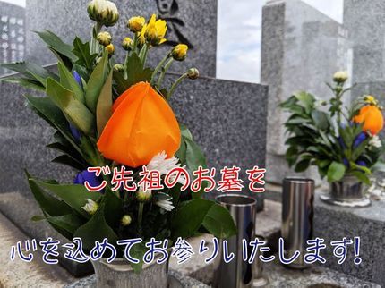 便利屋プロ!業界歴20年★ともぞう企画の【コロナで行けない】【忙しくて行けない】御先祖のお墓を代行してお参りしますの写真