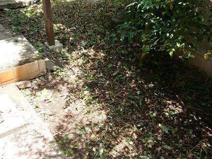 便利屋326の草刈り(機械)の写真