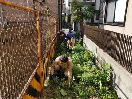 大阪おそうじ便の最短1/21~OK!【草むしりサービス】どんどん増える雑草すべてお任せ下さい!の写真