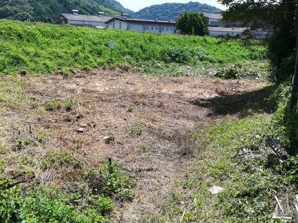 松村造園の雑草をキレイに取り除きます。芝刈りもお任せ下さい!広範囲の場合は割引可能です!の写真