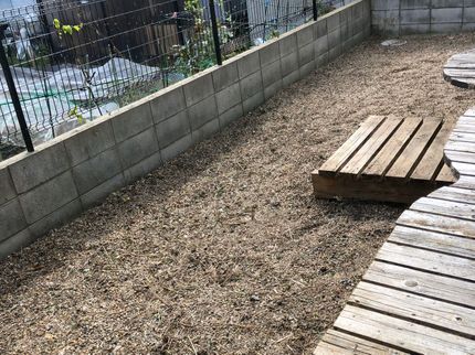 株式会社PMSの草むしり・除去サービスの写真