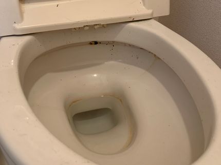 Total CLEAning クレアの☆トイレピカっと美しく☆【女性スタッフ対応可】プロの技術で納得の仕上がりに!の写真