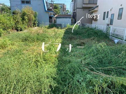 彩ガーデンの腰痛持ちではないので草むしりも致します!( ̄^ ̄)ゞの写真