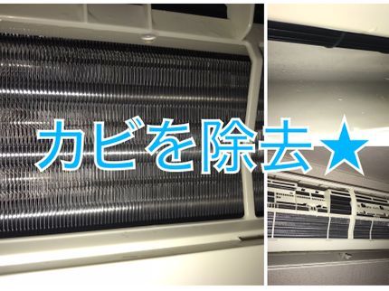 張り替えラボの消臭サービス★カビが気になるお客様から好評!!!予定により当日可の写真