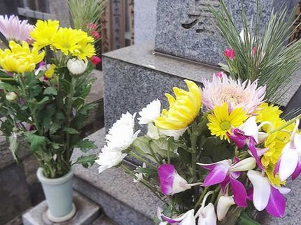 便利屋 なかむらのお客様に代わり真心込めてお掃除、お参り致します!の写真