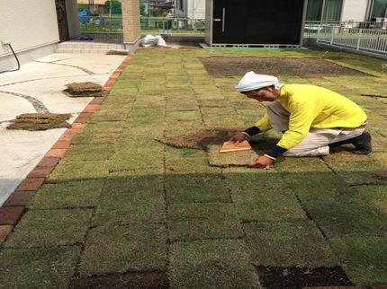 たぬ吉剪定の【業界歴10年以上の経験実績】地域密着◎営業時間外のご予約も相談受付中!の写真