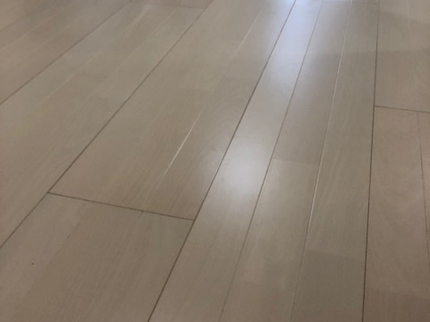 美感隊の《女性スタッフ同行可♬クレカ使用可》安心できるお掃除のプロフェッショナル集団!の写真