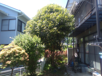 便利屋心喜のお庭のお手入れの写真