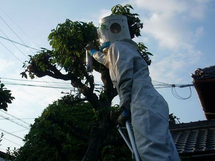 株式会社東洋衛生研究所の【創業66年】私どもは快適な環境を最適な価格でサービスを提供いたします。の写真