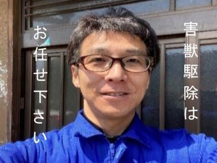 コミットプランの◆千葉県専門◆ハクビシン、アライグマ駆除◆見積もり無料◆の写真