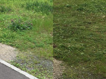 片付屋コムの【札幌市内全域・近郊】自宅のお庭草刈りいたします。安心・丁寧・親切で手軽な金額!の写真