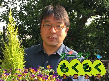 ガーデンもくもくの自然な樹形に仕上げます★騒音対策★土日祝対応★丁寧がモットーの写真