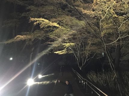 Rey電気設備の長野県密着◇【業歴26年の実績】暗い場所に設置するだけで防犯対策にもなります。の写真