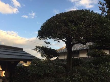 三宅クイックガーデニングの迅速丁寧、お手頃価格★対応エリアは高松市三木町さぬき市★空き家の剪定にも対応!の写真