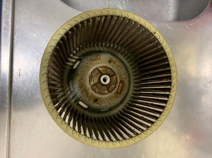 エコベルサポートの<コロナ対策実施中>◆天然洗剤使用!ペット、お子様にも安心!の写真