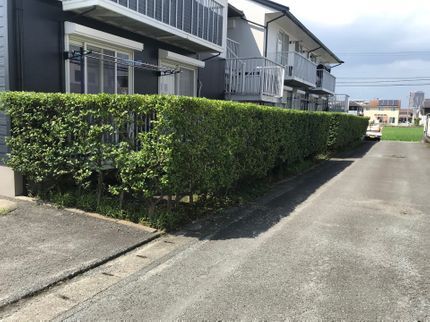 室岡造園の【仕上がり保証付き】豊富な経験と知識で安心!対象地域外・営業時間外もご相談歓迎!の写真