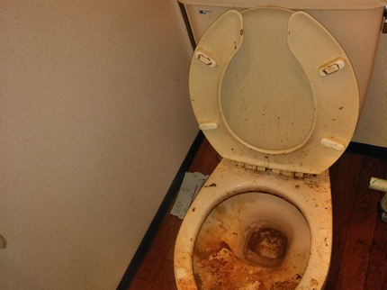 コロナ対策実地 おそうじクリーニングの【年中無休・地域密着】 トイレクリーニングよろしくお願い致します!P代お店負担の写真