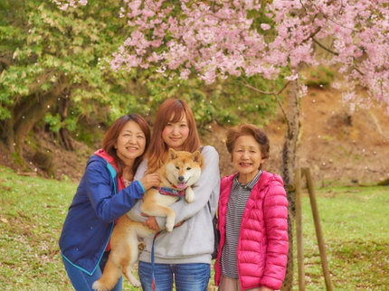 おかちんの写真屋さんの【カメラ歴10年!お安い料金で撮影♪】家族との素敵な思い出を写真に残しましょ♪の写真
