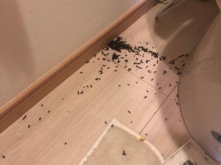 connectionのご自身ではどうしたらいいか分からない…そんなお困り事は当店におまかせください!の写真