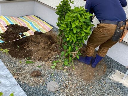 堀造園の【地域密着】外注作業一切なし!1本のご依頼もお気軽にご相談ください!の写真