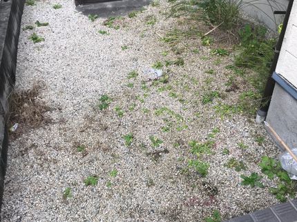 くらしのおそうじ ライフサービスの3月度は、4日.5日以外はまだ、空いてますので、早めの予約をお願い致します。の写真