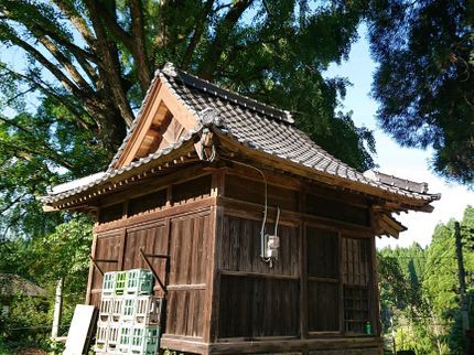 ホームコネクトの【菊池郡菊陽町発】店長の私が伺います!仕上がりにご不満の場合は無料で追加対応!の写真