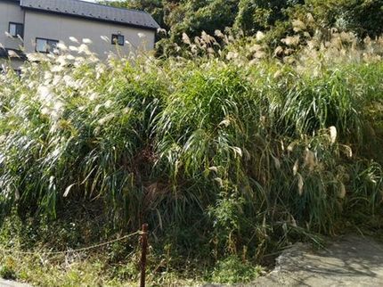マルナゲマーケットの< すべて ” 丸投げ ” OK!!>営業時間外や対応地域外も相談可◎外注なし!の写真