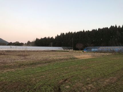 草刈まさ王の御庭や空き地を綺麗に草刈!の写真