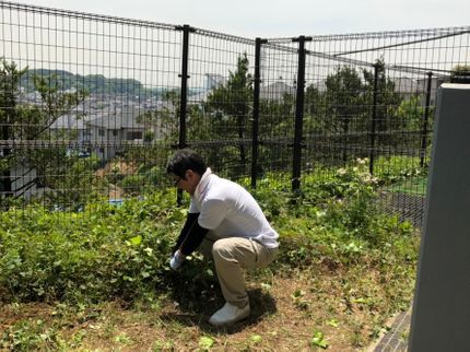 クリーンジョイ サポートの真心込めて草むしりいたします!きれい、喜びをサポートします!の写真