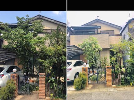 感動企画エターナルのプロの剪定師がお伺い致します!市の仕事を中心に活動!安心と信頼が自慢です!!の写真