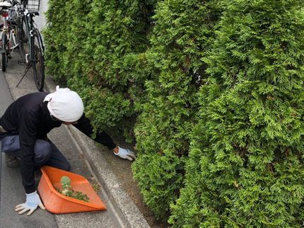 Arrow Gardenの☆業界歴20年☆外注作業一切なし!大手での経験も豊富です!の写真
