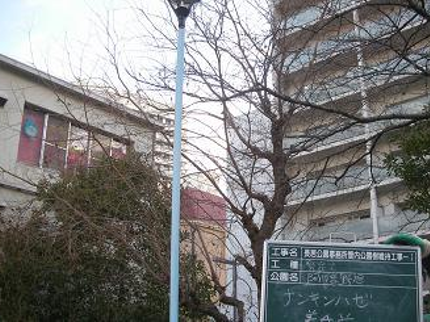 大阪サクラ造園の【枝葉 回収無料】経験年数15年◆スピーディにご対応します!の写真