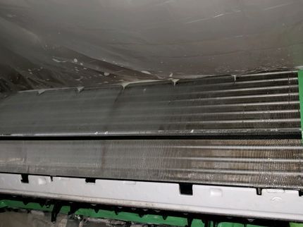 九州エア・クリーンのカビ、ほこりに注意!【お子様ペットも安心植物性洗剤】ヒノキの消臭で爽やかに♪の写真