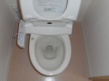 EVO・祝福神の【トイレクリーニング】お家の手に負えない汚れは当店へお任せ下さいの写真