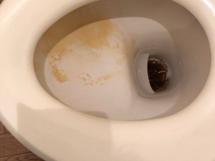 Clean House 優の【福岡県中心に対応】女性スタッフが丁寧に対応いたします!損害保険加入済み◎の写真