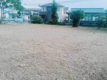 彩幸園の<熊本県中心に対応>草刈り25年の経験あり!年中無休で営業時間外もご相談可能◎の写真