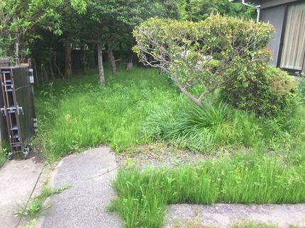 便利屋ラックの【地域密着】あなたの頼れるご近所さん「便利屋ラック」に草刈りをお任せくださいの写真
