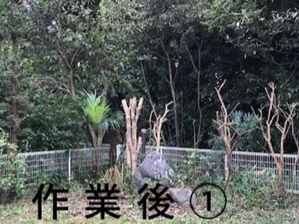 便利屋 イトウの<便利屋として幅広く対応>迅速・丁寧!営業時間外や対応地域外もご相談可能◎の写真