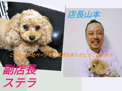 cleanstandardのCleanStandardを知っていただくお試し価格です。お願い致します。の写真