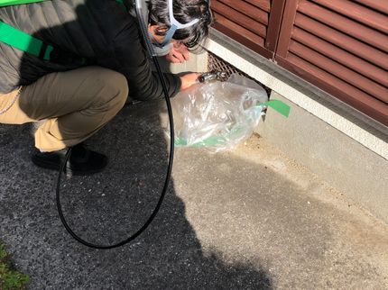 株式会社マルックスの毛虫•不快害虫•コバエ駆除なら弊社にお任せ下さい!プロ用虫コナーズあります!の写真