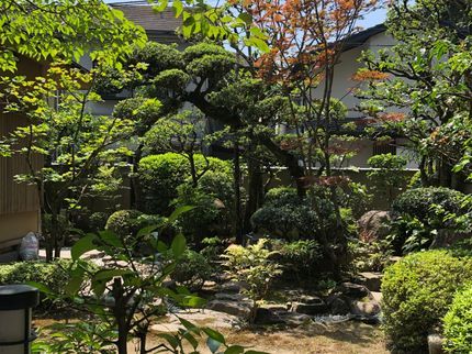 宮城造園の込み合った庭木 生垣は毛虫やハチの巣の住みかになりやすい!!の写真