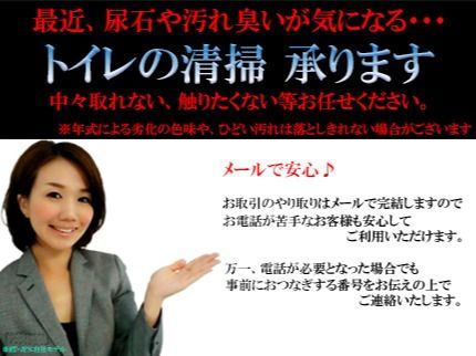 RT-JPNのTEL不要「PayPay / カード OK」トイレの尿石の汚れもお任せくださいの写真