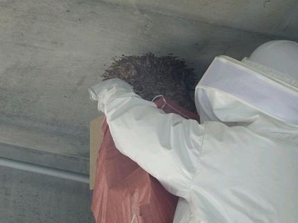 フジ企画の【外注作業なし】大手での作業経験あり◉対応地域外でもご相談ください!の写真