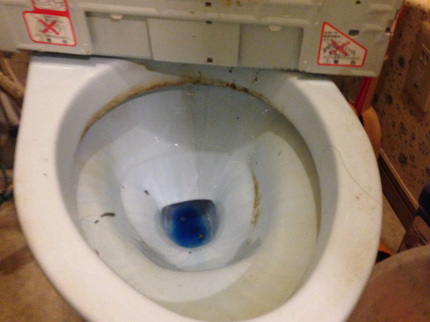 株式会社便利屋 竹内商店の思わず頬ずりしたくなる!トイレの黒ずみ黄ばんだ汚れ、すっきり綺麗に落としますの写真