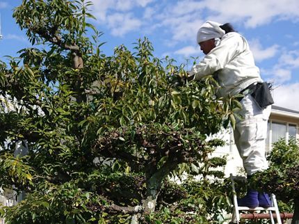 グリーンラインの【外注一切なし!年中対応◎】お庭に関する事はなんでもできます!アドバイスします!の写真